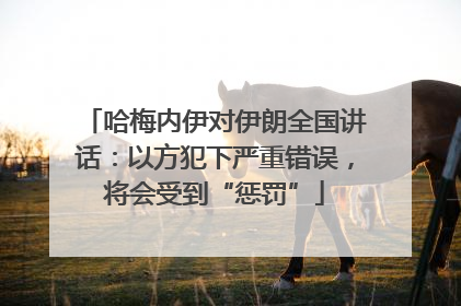 哈梅内伊对伊朗全国讲话：以方犯下严重错误，将会受到“惩罚”