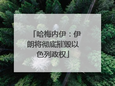 哈梅内伊：伊朗将彻底摧毁以色列政权