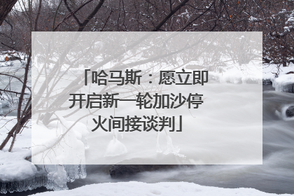 哈马斯：愿立即开启新一轮加沙停火间接谈判
