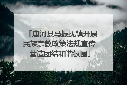 唐河县马振抚镇开展民族宗教政策法规宣传 营造团结和谐氛围