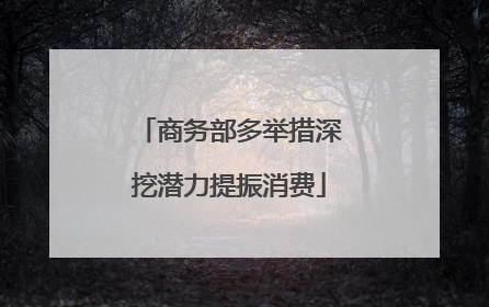 商务部多举措深挖潜力提振消费
