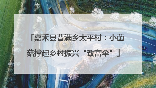 嘉禾县普满乡太平村：小菌菇撑起乡村振兴“致富伞”