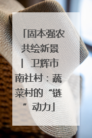 固本强农 共绘新景 ︳卫辉市南社村：蔬菜村的“链”动力