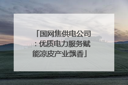 国网焦供电公司：优质电力服务赋能凉皮产业飘香