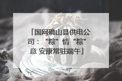 国网确山县供电公司：“粽”情“粽”意 安康常驻端午