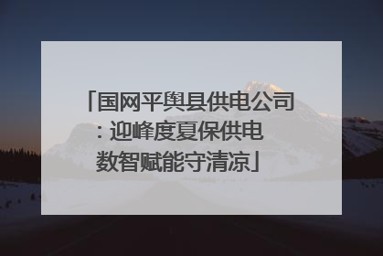 国网平舆县供电公司：迎峰度夏保供电  数智赋能守清凉