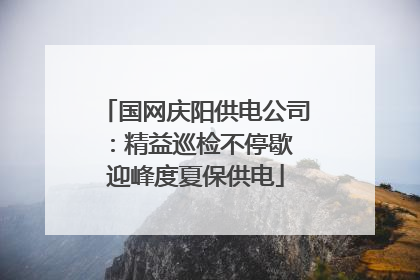 国网庆阳供电公司：精益巡检不停歇 迎峰度夏保供电