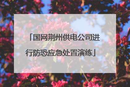 国网荆州供电公司进行防恐应急处置演练