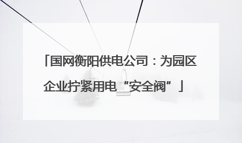 国网衡阳供电公司：为园区企业拧紧用电“安全阀”