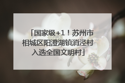 国家级+1！苏州市相城区阳澄湖镇消泾村入选全国文明村