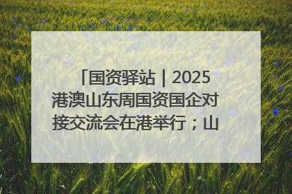 国资驿站｜2025港澳山东周国资国企对接交流会在港举行；山东黄金成功在境外发行3亿美元绿色债券