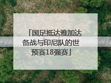 国足抵达雅加达备战与印尼队的世预赛18强赛