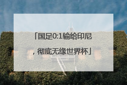 国足0:1输给印尼，彻底无缘世界杯