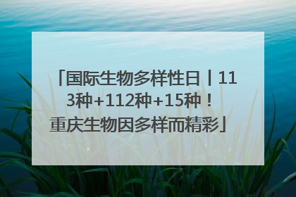 国际生物多样性日丨113种+112种+15种！重庆生物因多样而精彩