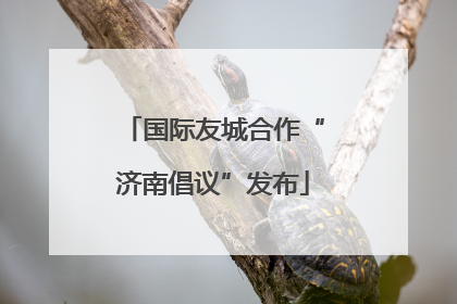 国际友城合作“济南倡议”发布