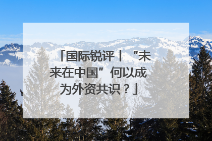 国际锐评丨“未来在中国”何以成为外资共识？