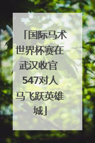 国际马术世界杯赛在武汉收官 547对人马飞跃英雄城