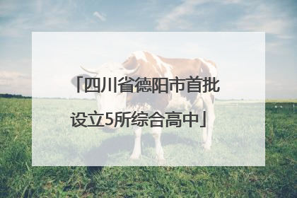 四川省德阳市首批设立5所综合高中