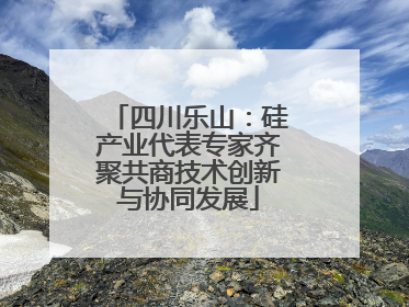四川乐山：硅产业代表专家齐聚共商技术创新与协同发展