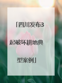四川发布3起破坏耕地典型案例