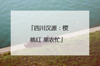 四川汉源：樱桃红 果农忙