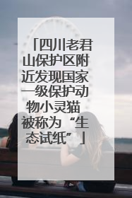 四川老君山保护区附近发现国家一级保护动物小灵猫 被称为“生态试纸”