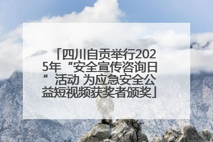 四川自贡举行2025年“安全宣传咨询日”活动 为应急安全公益短视频获奖者颁奖