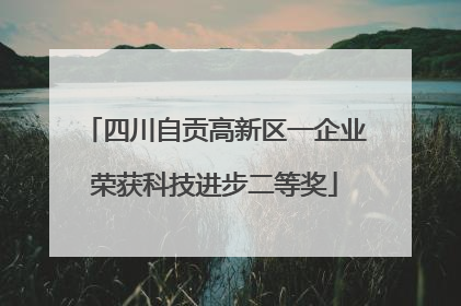 四川自贡高新区一企业荣获科技进步二等奖