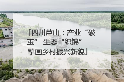 四川芦山：产业“破茧” 生态“织锦” 擘画乡村振兴新貌