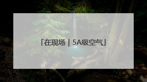 在现场｜5A级空气
