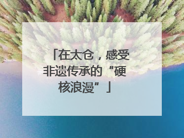 在太仓，感受非遗传承的“硬核浪漫”
