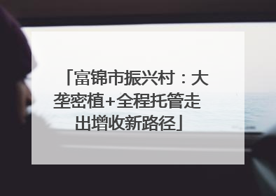 富锦市振兴村：大垄密植+全程托管走出增收新路径