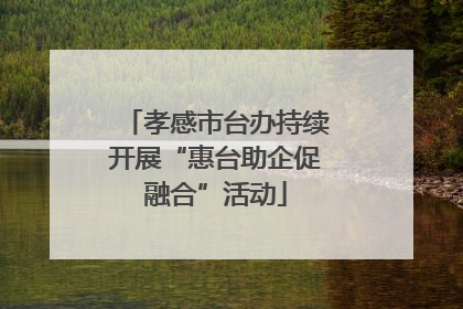 孝感市台办持续开展“惠台助企促融合”活动