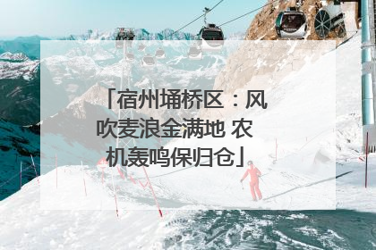 宿州埇桥区：风吹麦浪金满地 农机轰鸣保归仓