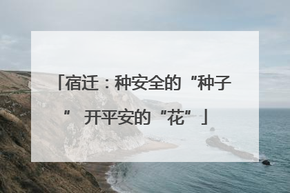 宿迁：种安全的“种子” 开平安的“花”