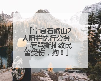 宁夏石嘴山2人阻拦执行公务，辱骂撕扯致民警受伤，拘！