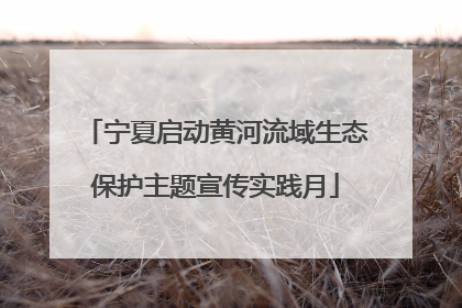 宁夏启动黄河流域生态保护主题宣传实践月