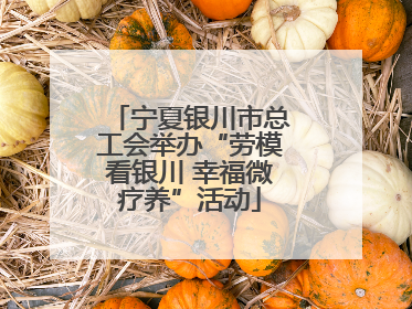 宁夏银川市总工会举办“劳模看银川 幸福微疗养”活动