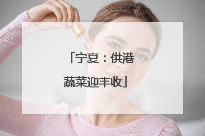 宁夏：供港蔬菜迎丰收