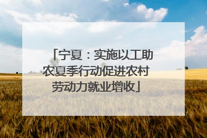 宁夏：实施以工助农夏季行动促进农村劳动力就业增收