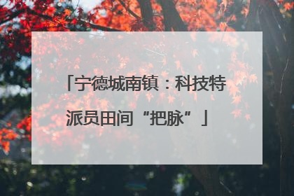宁德城南镇：科技特派员田间“把脉”