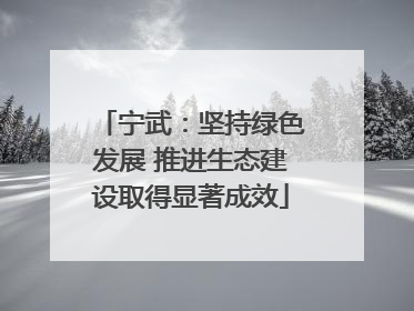 宁武：坚持绿色发展 推进生态建设取得显著成效
