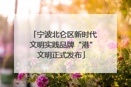 宁波北仑区新时代文明实践品牌“港”文明正式发布