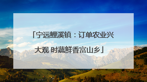 宁远鲤溪镇：订单农业兴大观 时蔬鲜香富山乡