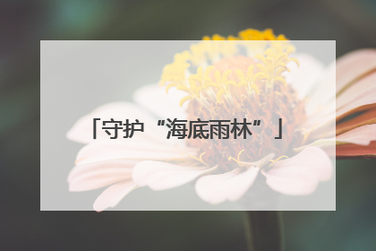 守护“海底雨林”