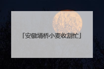 安徽埇桥小麦收割忙