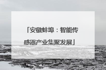 安徽蚌埠：智能传感器产业集聚发展