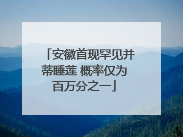安徽首现罕见并蒂睡莲 概率仅为百万分之一
