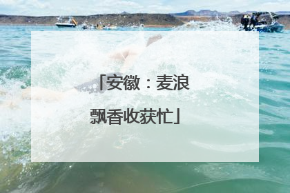 安徽：麦浪飘香收获忙