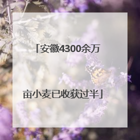 安徽4300余万亩小麦已收获过半